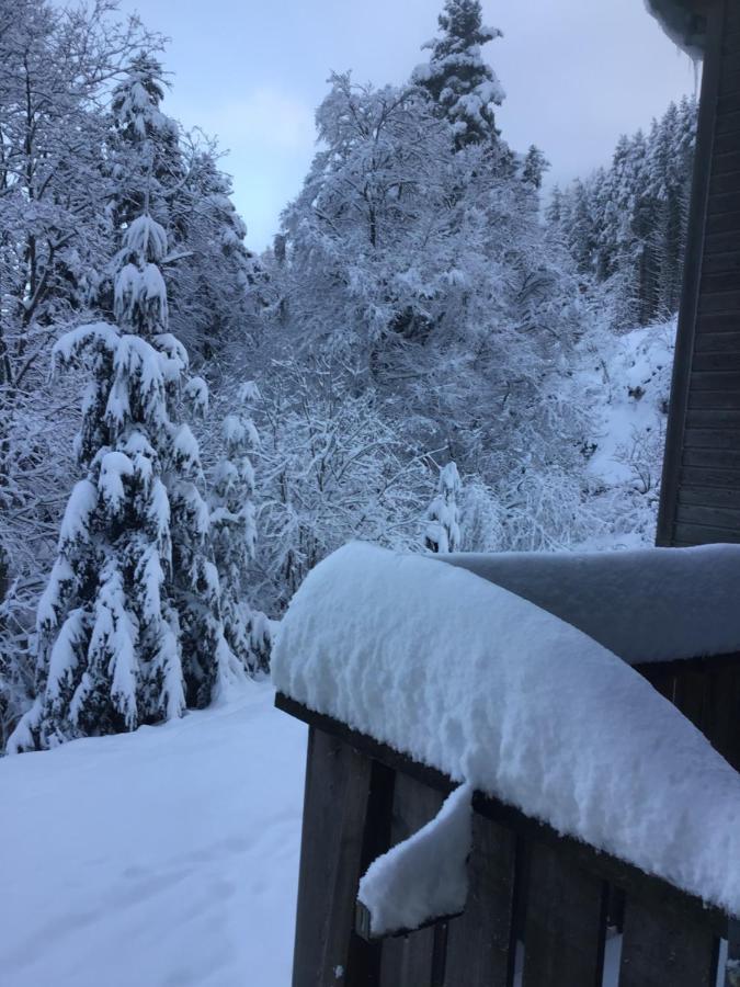 Hotel Restaurant La Fourmi Bourbach-le-Haut Luaran gambar